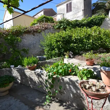 Delac * Mali Lošinj