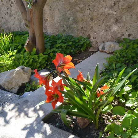 Apartamento Delac *
